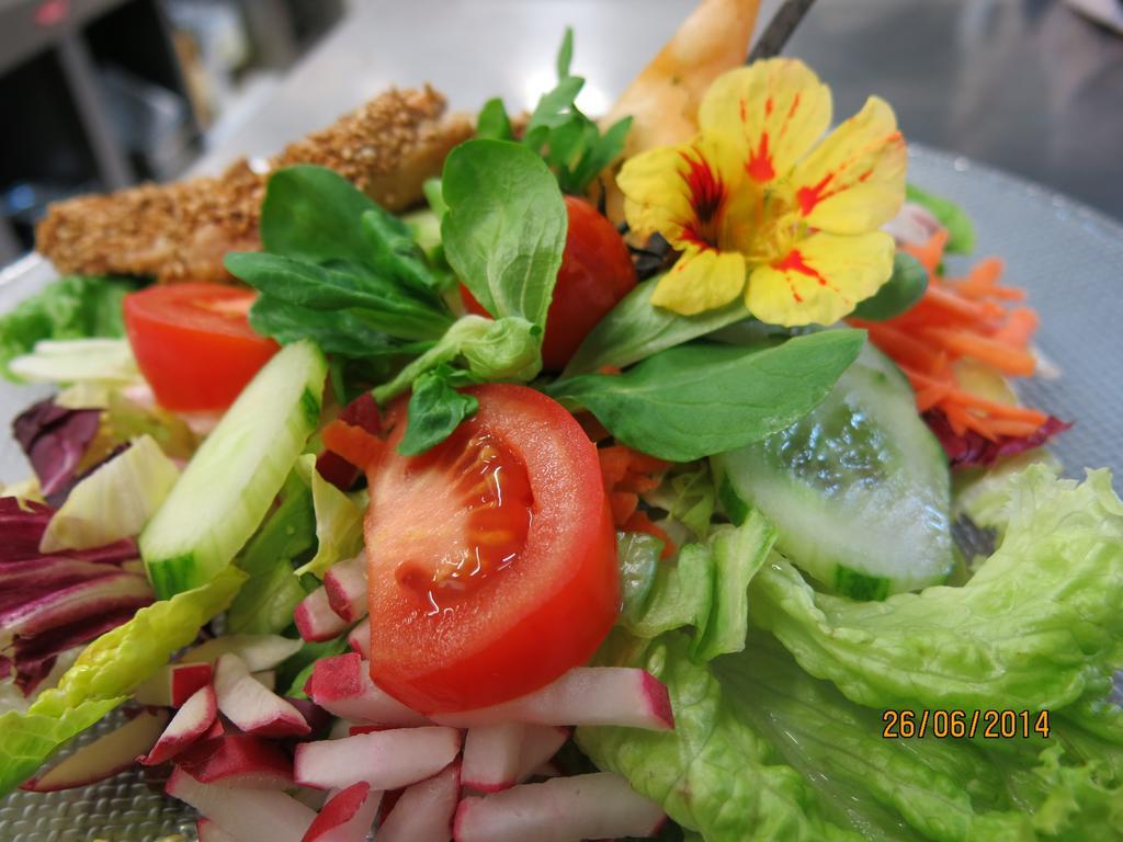 Hotel Hafen Hitzacker - Elbe מראה חיצוני תמונה